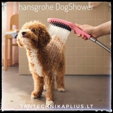 Hansgrohe dušo galvutė šunims DogShower 150 3jet 26640700 1