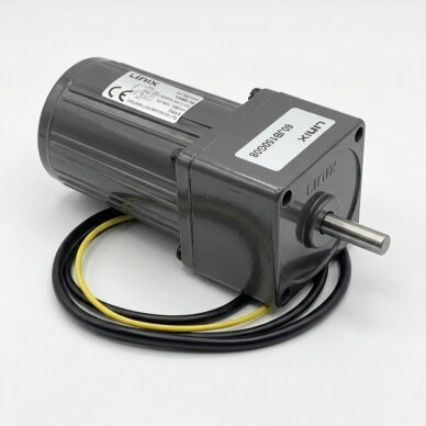 Motoreduktorius Linix YN60-150B-G10