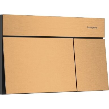 WC rėmo mygtukas hansgrohe iFrame Element E 66003140