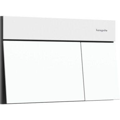 WC rėmo mygtukas hansgrohe iFrame Element E 66003700