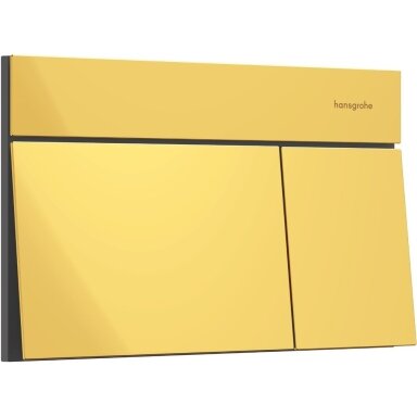 WC rėmo mygtukas hansgrohe iFrame Element E 66003990